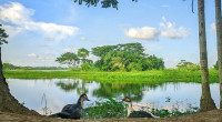 Dry weather likely across Bangladesh