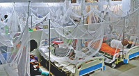 Ten more dengue cases reported in 24hrs