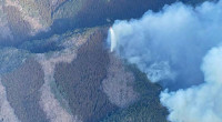 Japan faces worst wildfire in 50 years