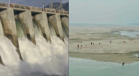 Farakka Barrage — 50 years of international crime against nature