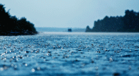 Met office forecasts light to moderate rain in parts of Bangladesh