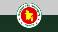 Govt may act with people if activities blocked: Advisory Council 