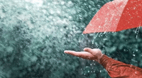 Rain or thundershowers likely over country