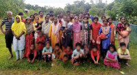 BSF pushes 48 more into Bangladesh through Moulvibazar border