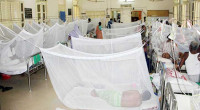 Dengue: Four die, 319 Hospitalised in 24 hours