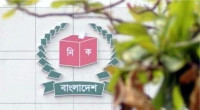 Foreign observers: EC’s decision final, not the government's