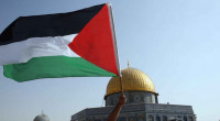 France, 14 other nations back Palestine state