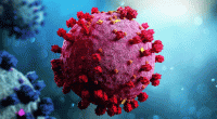Two new Covid cases reported in 24hrs