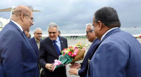 Pakistan Deputy PM Ishaq Dar arrives in Dhaka 