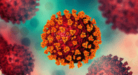 No new Covid cases reported in 24 hours