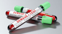 Dengue: 4 deaths reported in 24hrs