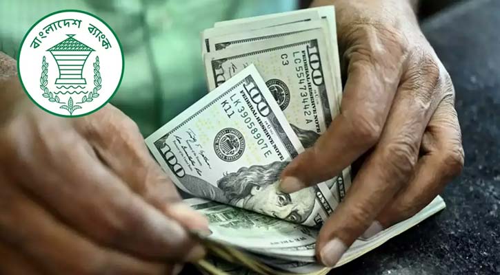 Remittances hit $1.3bn in 13 days of September