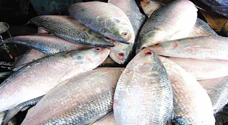 37 Bangladeshi firms to export hilsa to India for Durga Puja