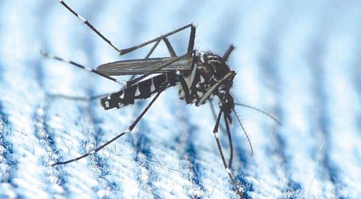 Four more die of dengue in Bangladesh, 845 admitted in 24 hours