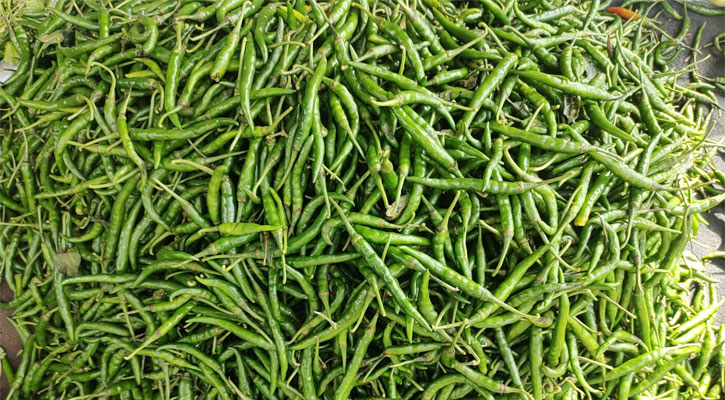 Green chilli prices in Dhaka hit Tk 450 amid import halt, rain