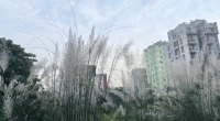 Weather may remain mainly dry over Bangladesh