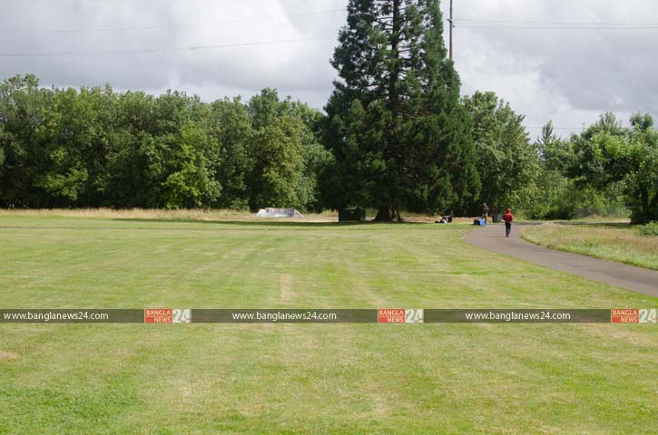 বুনো নির্জনতার আমাজনদিন