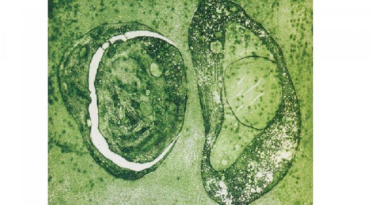 ছাপচিত্রের পরিচয় ও সাম্প্রতিক একটি প্রদর্শনী | রিঙকু অনিমিখ