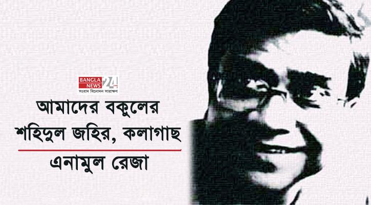 আমাদের বকুলের শহিদুল জহির, কলাগাছ | এনামুল রেজা