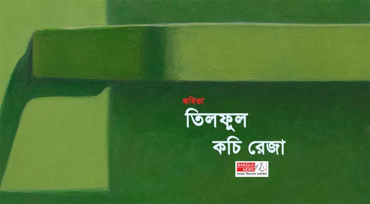 তিলফুল | কচি রেজা