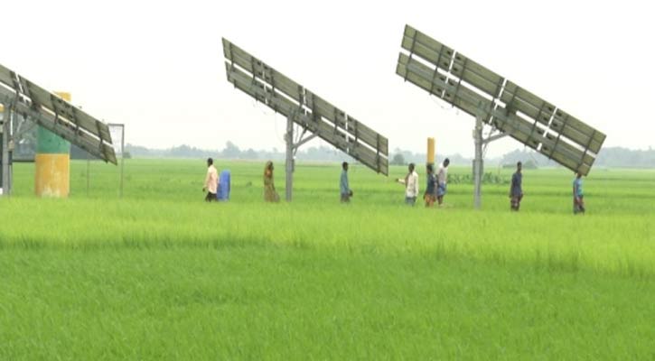 আমলাতন্ত্রের প্যাঁচে সবুজ জ্বালানির উৎস