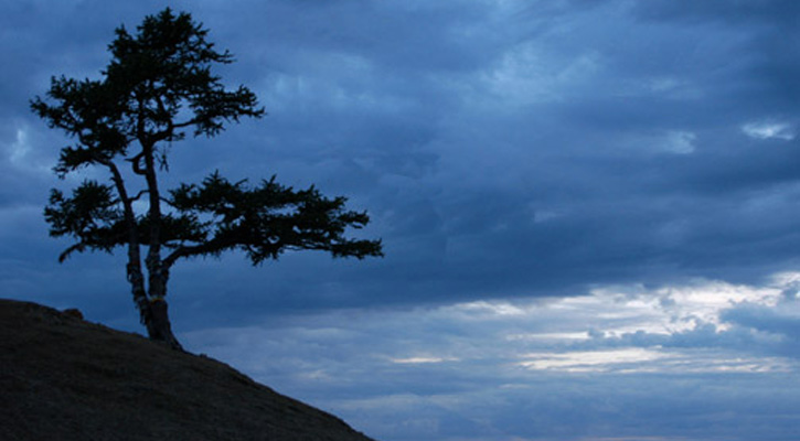 বুজুর্গদের সান্নিধ্য আত্মার পরিশুদ্ধি অর্জনে অত্যন্ত কার্যকর