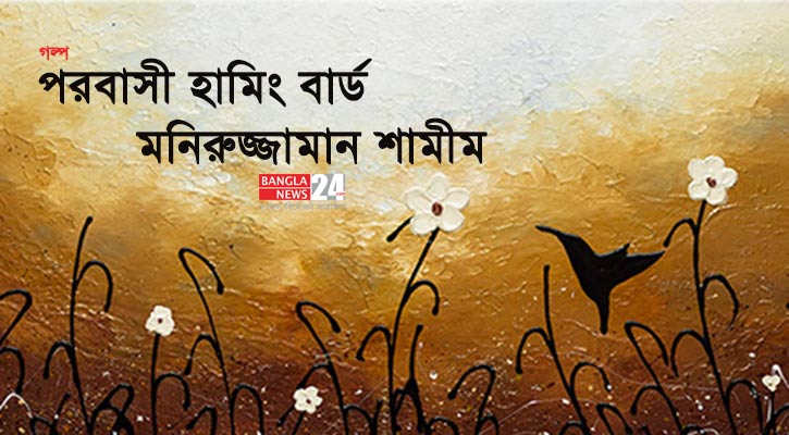পরবাসী হামিং বার্ড | মনিরুজ্জামান শামীম