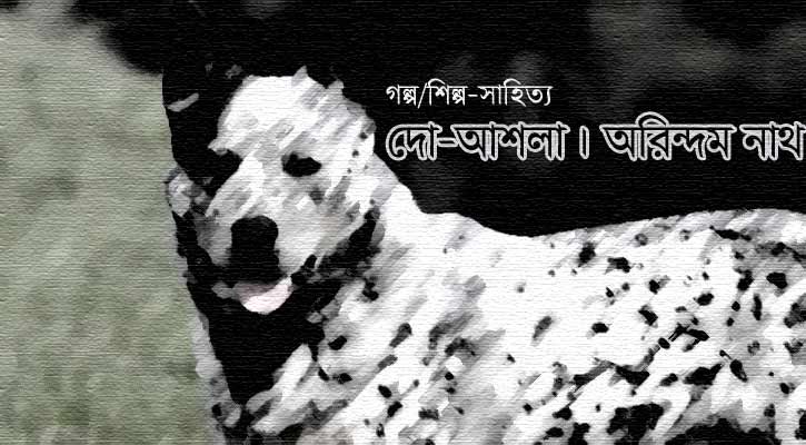 দো-আশলা | অরিন্দম নাথ