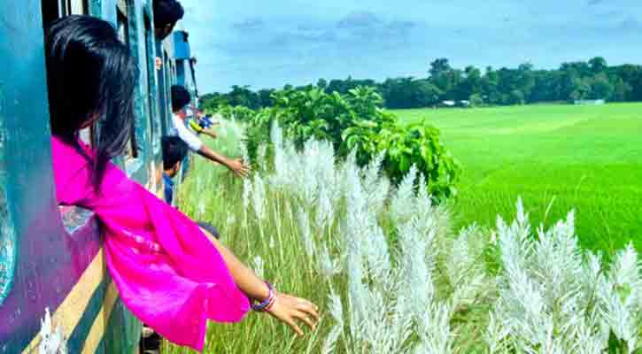 এসো শিউলি বিছানো পথে