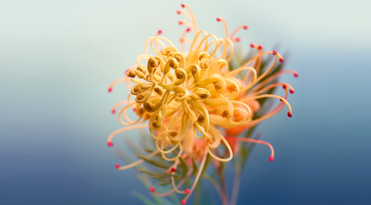 অন্তরের অভাব মুক্তিই প্রকৃত ধন-সম্পদ