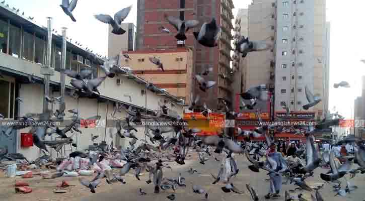 মক্কার কবুতর চত্বর