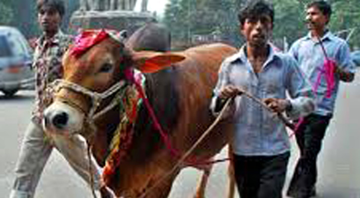 কোরবানির আগে ও পরে করণীয়