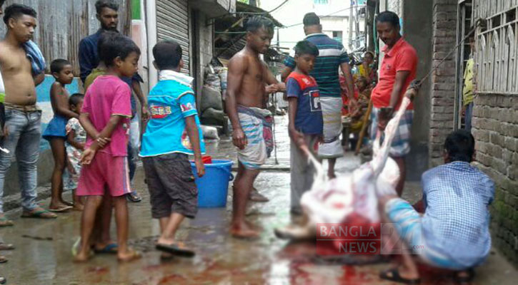 ইসলামে কোরবানির গুরুত্ব