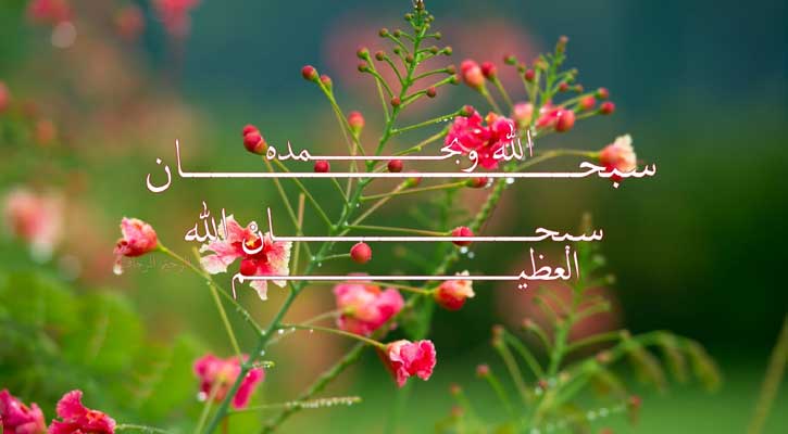 আল্লাহর প্রিয় দুটি বাক্য