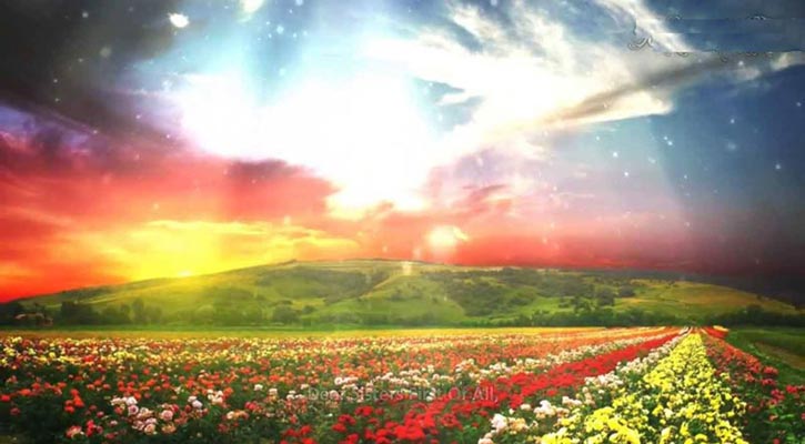 জান্নাতে বাজার বসবে শুক্রবার!