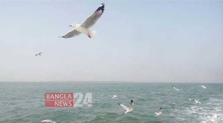 পরিযায়ী পাখি রক্ষায় ইসলামী দৃষ্টিকোণ