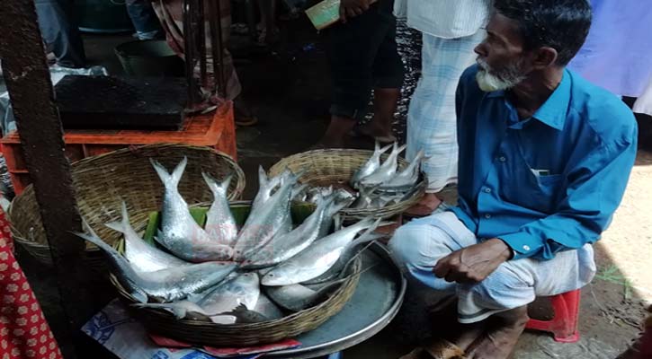 বৈশাখের আগে বরিশালের বাজারে কমছে ইলিশের দাম