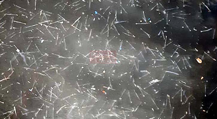 চোরাইপথে আসা ভারতীয় পোনায় সয়লাব খুলনা