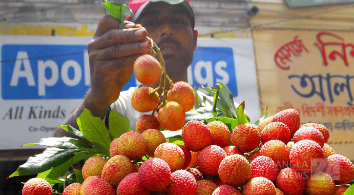 রাজশাহীর বাজারে ‘বোম্বাই’ লিচু