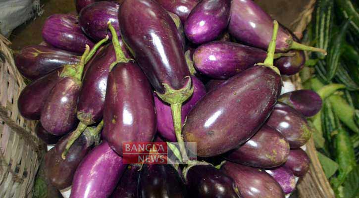 সপ্তাহ ব্যবধানে বেগুনের দাম দ্বিগুণ