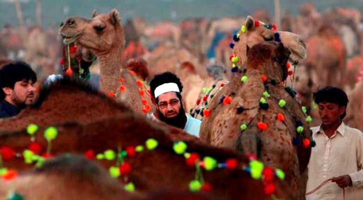 কোরবানির সওয়াব ও বিভিন্ন বিধান