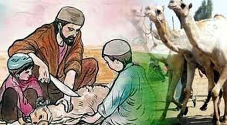 কোরবানি কার ওপর ওয়াজিব?