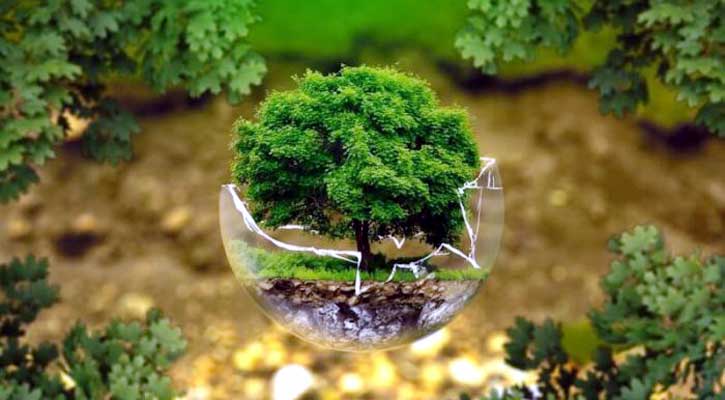 ইসলামে পরিবেশ সংরক্ষণের গুরুত্ব