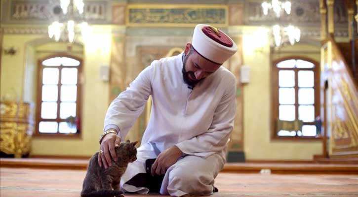 প্রাণীদের অধিকার রক্ষায় ইসলাম