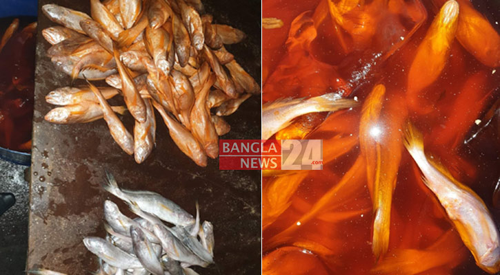 সামুদ্রিক মাছ তাজা দেখাতে কাপড়ের রং!