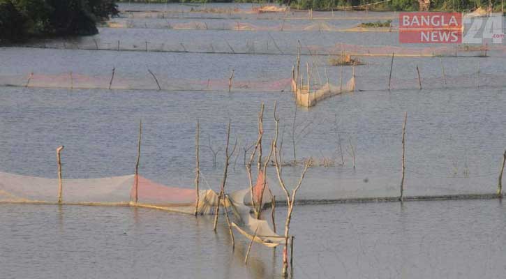 অবৈধ জালে মাছের ডিম ও পোনা হচ্ছে ধ্বংস, প্রয়োজন সচেতনতা