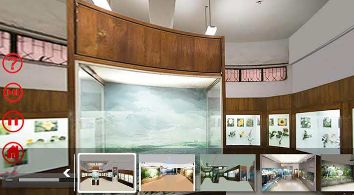 ভার্চুয়াল গ্যালারিতে ঘরে বসেই দেখুন জাতীয় জাদুঘর