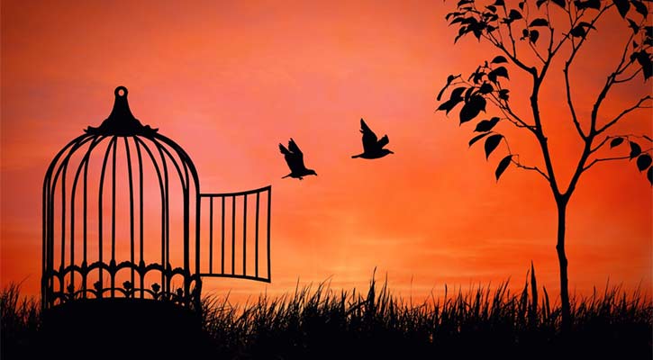 মুক্তি ǁ সোহেল আমির