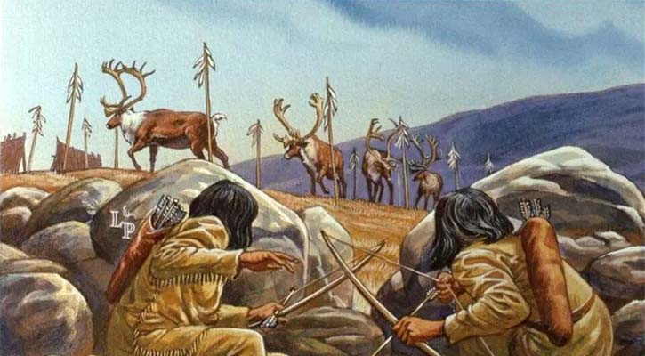 অন্যায়ভাবে পশু-পাখি হত্যা করা যাবে না