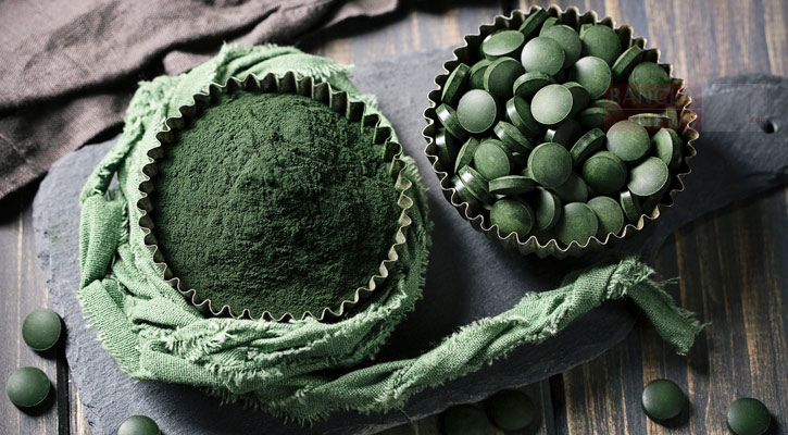 রাজশাহীর কৃত্রিম জলাধারে ফলছে ‘সবুজ সোনা’  